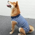 thumbnail image 3 of Bobasndm Surgical Recovery Suit for Dogs, Abdominal Wound Protector, After Surgery, E-Neck Alternative for Dogs, Underwear and Pets, 3 of 9
