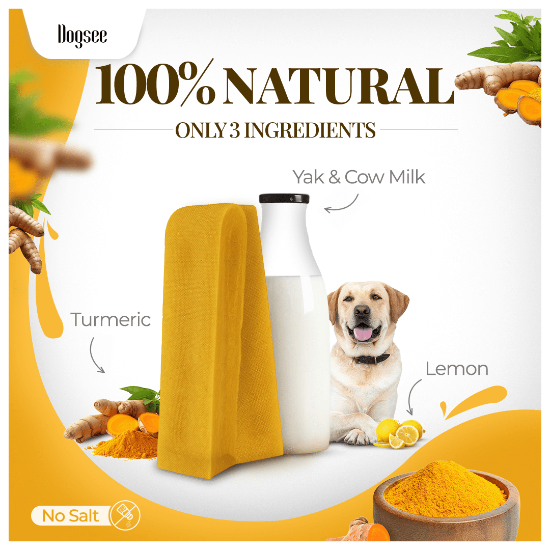 Dogsee Himalayan Yak Cheese Dog Chews with Turmeric/Curcumin (Medium - 6Chew) | Long Lasting | Anti-inflammatory | Fights Plaque and Tartar | Odorless Dog Treats