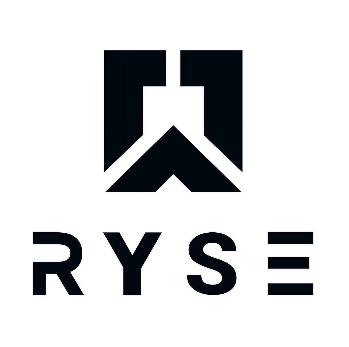 RYSE Element Series, BCAA Focus Intra Post Workout Powder, SUNNYD Orange Pineapple, 30 Servings