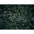 thumbnail image 2 of Carrillo Lopez, Antonio 24x19 Gold Ornate Wood Framed with Double Matting Museum Art Print Titled - From above, 2 of 4