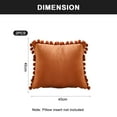 thumbnail image 2 of Decorte Funda de almohada 20x20, paquete de 2 cómodas fundas de almohada cuadradas de terciopelo con pompón suave, decoración para el hogar de granja, 2 of 5