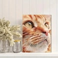 thumbnail image 2 of Orange Tabby Cat Close Up Canvas Wall Art, Pet Portrait Print for Living Room Bedroom Office Coffee Shop Study Decor, 2 of 8
