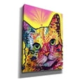 thumbnail image 2 of Epic Graffiti 'Tilt Cat I' by Dean Russo, Giclee Canvas Wall Art, 40"x54", 2 of 8