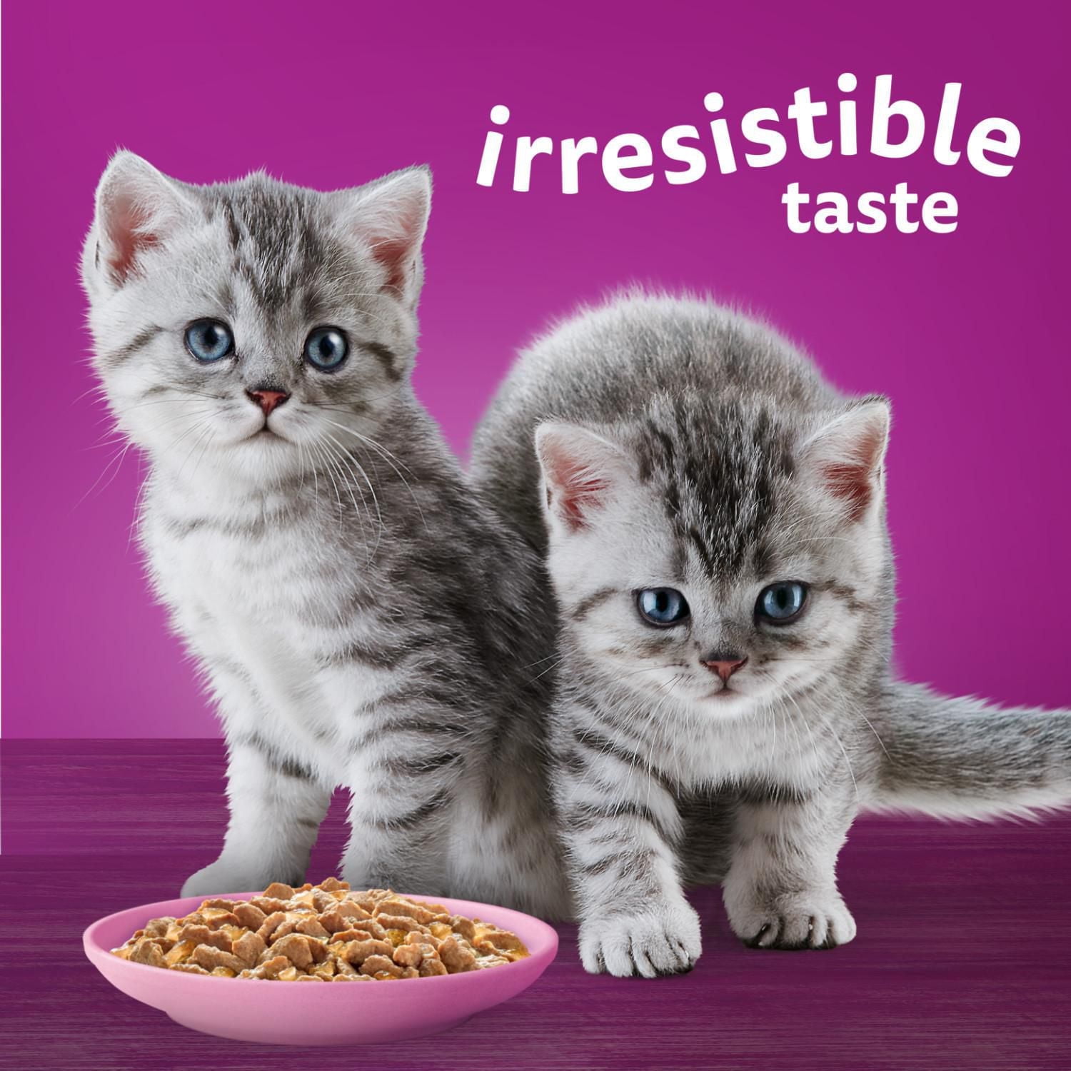 Nourriture humide pour chatons WHISKAS FAVORIS bouchées dans une sauce en gelée – saveur de saumon 85 g