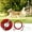 Red, variant on Dog Tie Out Runner for Yard, Dog Trolley System 100FT Dog Lead with 10FT Dog Runner Line, Dog Zipline Heavy Duty Dog Run Cable for Large Dogs 125lbs, Red