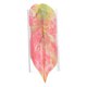 thumbnail image 4 of Accesorio para pecera, decoración para pecera, cama acrílica para acuario, cueva para esconder bettas, decoración de túnel para acuario, escondite para bettas, accesorio para acuario, 4 of 8