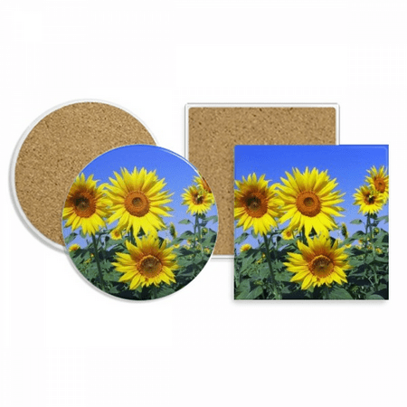 

Sunshine Flowers Sunflowers Blue Sky Coaster Cup Mug Holder Absorbent Stone Cork Base Set
