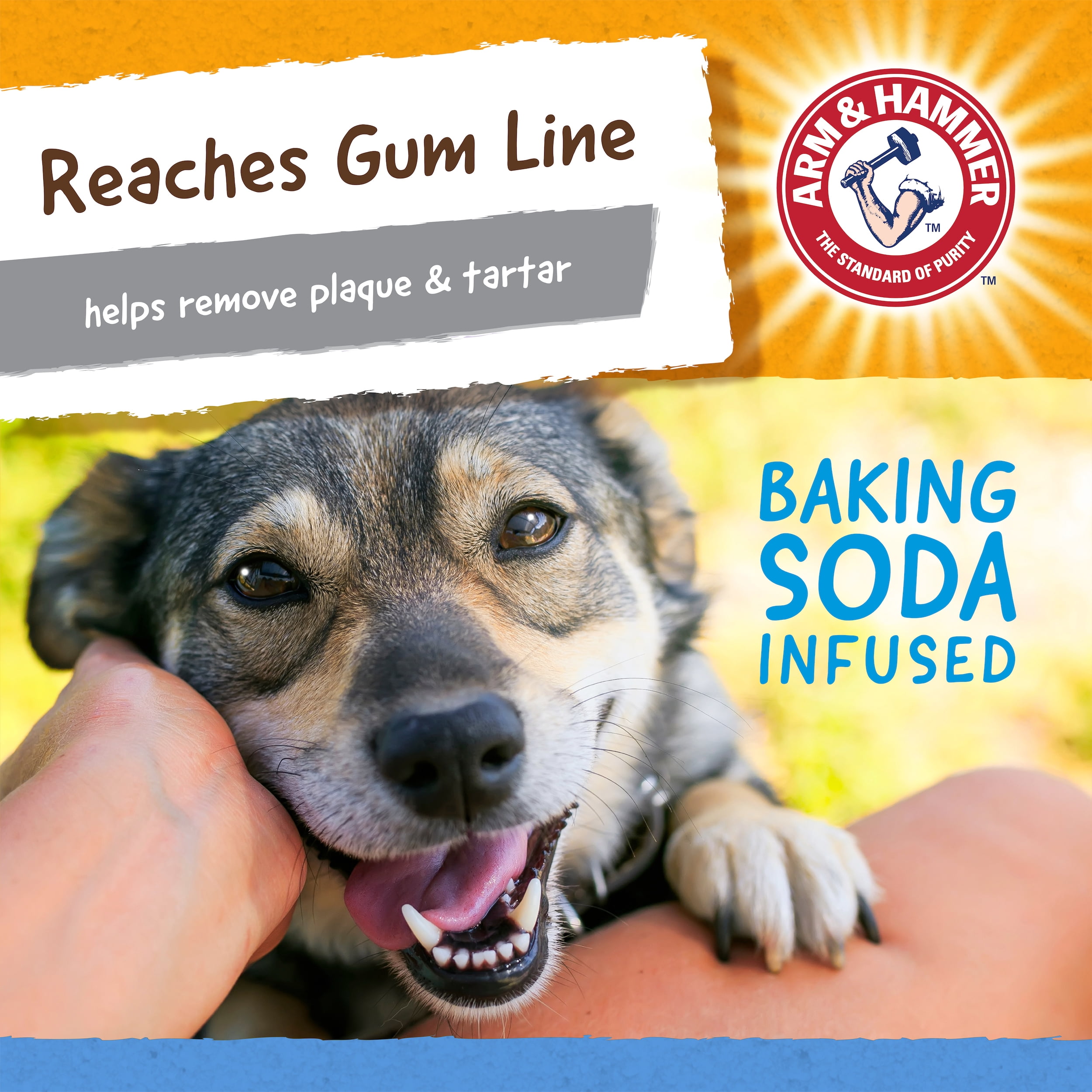 Arm & Hammer Nubbies TriOBone Durable Dental Dog Chew Toy