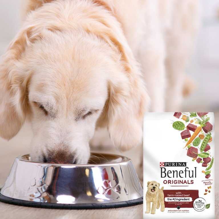 Purina Beneful Originals Dry Dog Food with Farm Raised Beef No