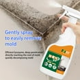 Molds and Mildews Bathroom Cleaner Daily Shower & Bathroom, Scrub