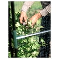 thumbnail image 5 of Gardener's Supply Company 4' x 4' Walk-In Crop Cage, 5 of 8