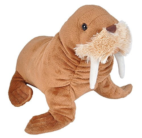 fuddlewuddle fox