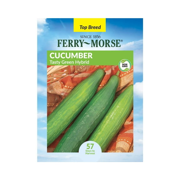 Ferry-Morse 500MG Cucumber Tasty Green Hybrid Annual Vegetable Seeds, Full Sun