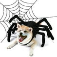 thumbnail image 3 of SUNSIOM Pets Accessories, Halloween Pumpkin Shaped Hat Decorative Tools, 3 of 8