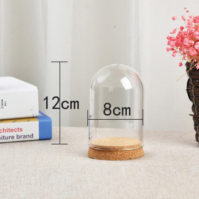 *Glass Display Bell Jar Dome Cloche Cover For Flower Plants W/ Base Wood Cork*