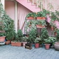 thumbnail image 2 of 1pc Mini Flowerpot Piano Shaped Succulent Planter Desktop Decoration, 2 of 8