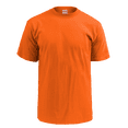 thumbnail image 1 of ADLT T-SHIRT 100 CTN-M305, 1 of 1
