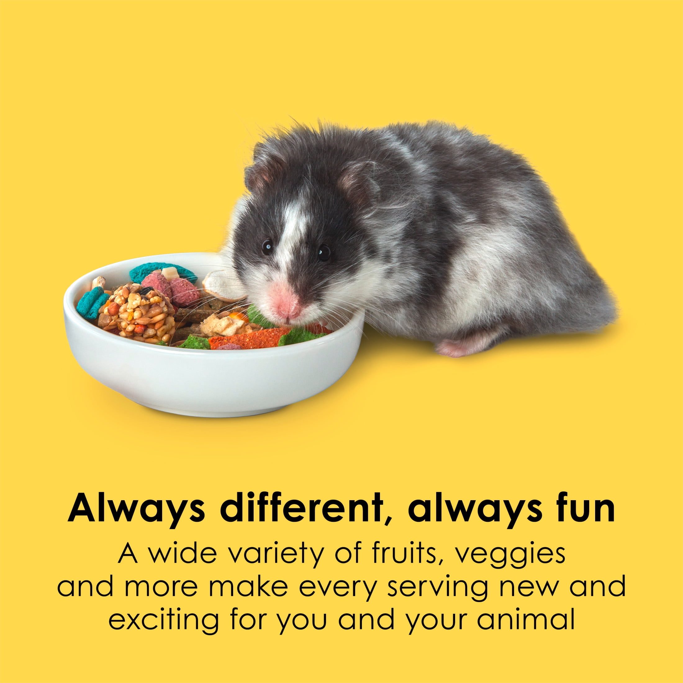 Kaytee Fiesta Hamster and Gerbil Food Flavor Medley 15 Pounds