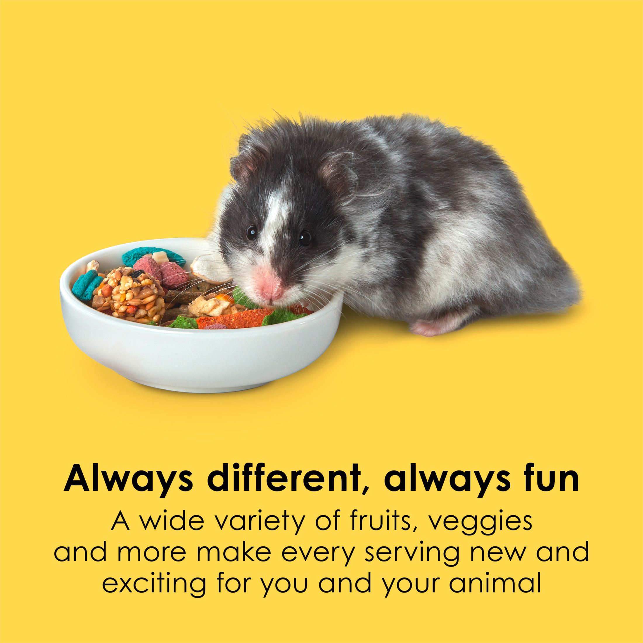 Kaytee Fiesta Hamster and Gerbil Food, 4.5 Pounds photo 3