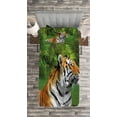 thumbnail image 3 of Ambesonne Tiger Quilted Bedspread Set 2 Pcs, Siberian Wild Cat in Lake, Twin Size, Fern Green Pale Brown, 3 of 3