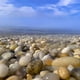 thumbnail image 5 of Piedras de río adoquinadas de 100/200/500 g para acuario, fondo de pecera, paisajismo, fondo de piedra decorativa, accesorio hidropónico natural, 5 of 5