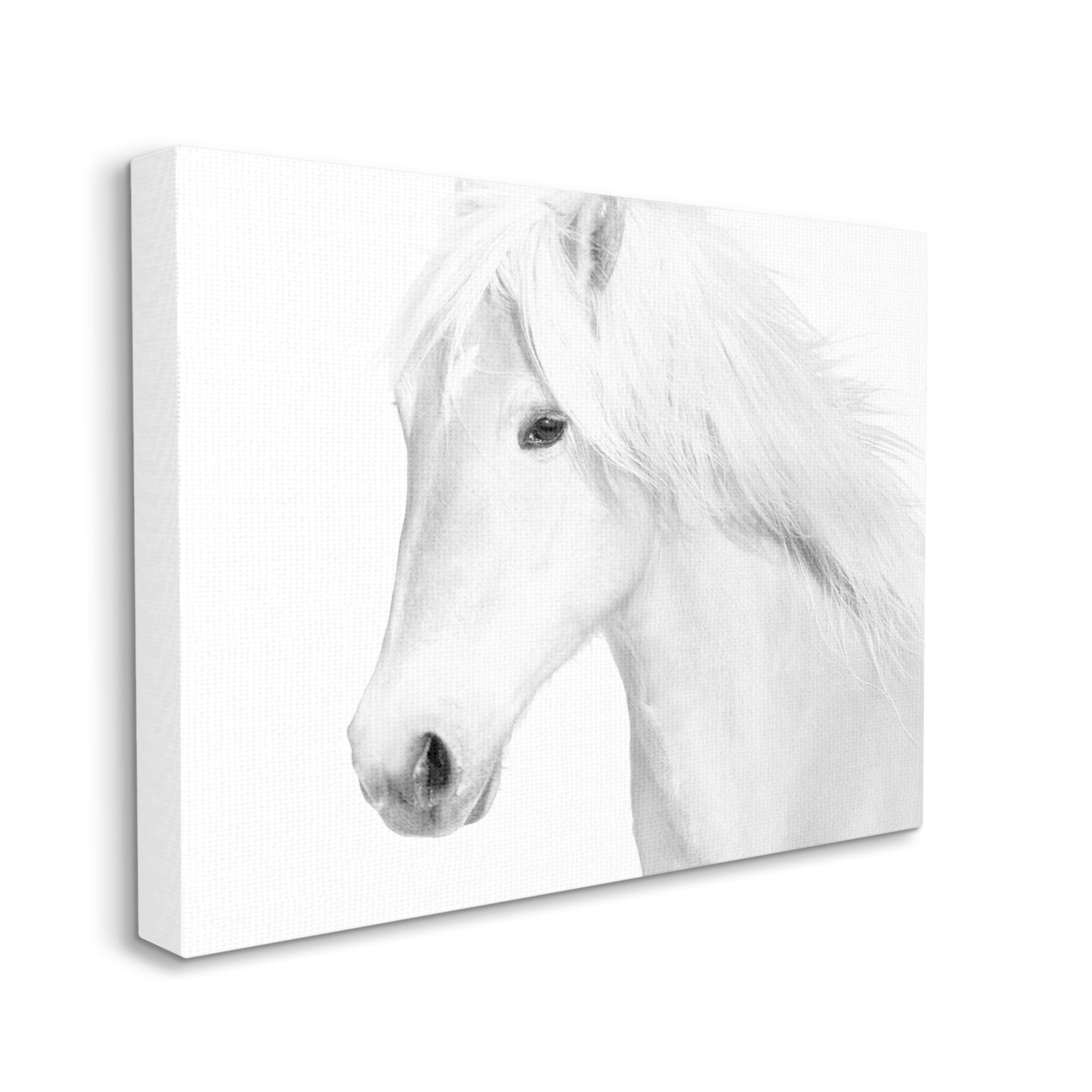 Stupell Industries White Horse Portrait Wild Stallion Modern Monochromatic Photography, 30 x 24,Design by Samantha Carter