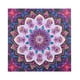 thumbnail image 3 of 2 Juegos de Pintura de Diamante de Flores 5D Macarena Forma Especial Herramienta Básica Decoración para hogar, 3 of 8