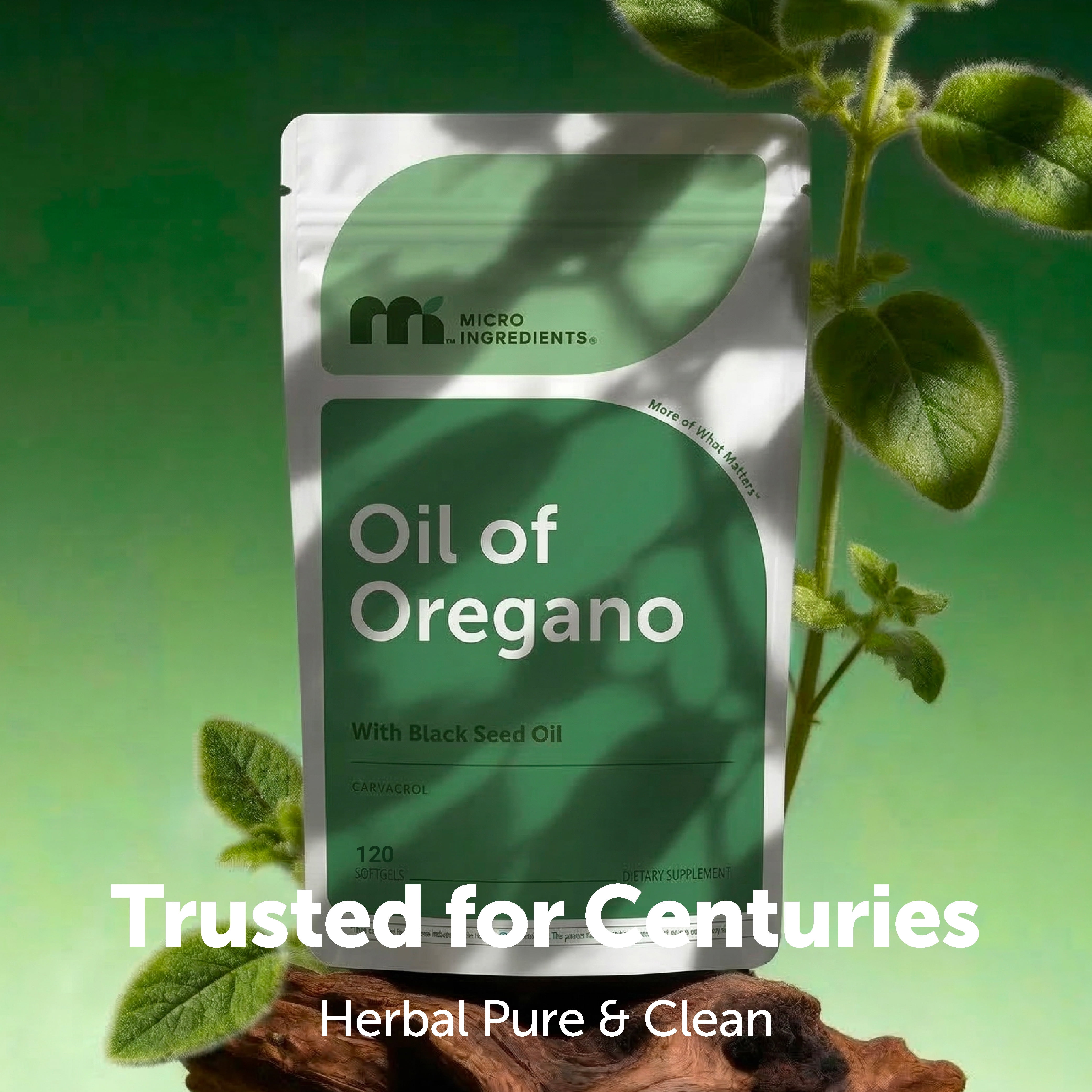 Micro Ingredients Oil of Oregano Herbal Supplement Softgels with Black Seed Oil, for Men & Women, Plant Based, 120 Count