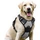 thumbnail image 1 of Arnés para perros Rabbitgoo, sin tirones, ajustable, gris, para perros grandes, 1 of 8