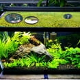 thumbnail image 6 of 5Pcs Aquarium Floating Plant Rings Fish Feeding Rings Set 5 Sizes Foam Floating Plant Corral Round Fish Feeder Rings Fish Plant Ring for Bettas Aquarium Accessories Black Black DIY, 6 of 9