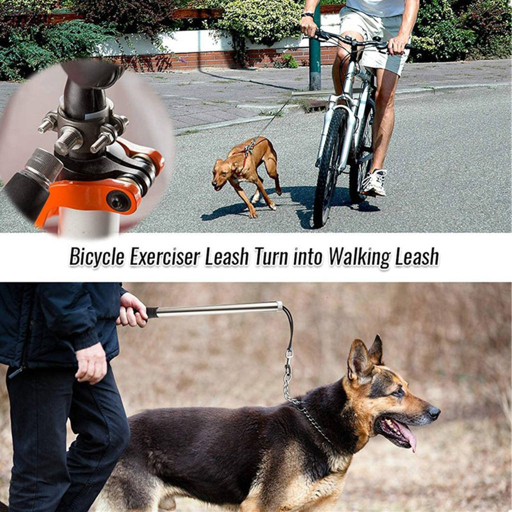 Bicylce Exerciser Leash Attachment Dog Bike Leash for Dog Traction Belt with Spring Stainless Steel Traction Rope