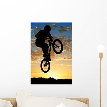 Bike Frame Decals Airborne Bike Wall Mural Decal Sticker, Wallmonkeys Peel & Stick Vinyl Graphic (18 in H x 12 in W) ()