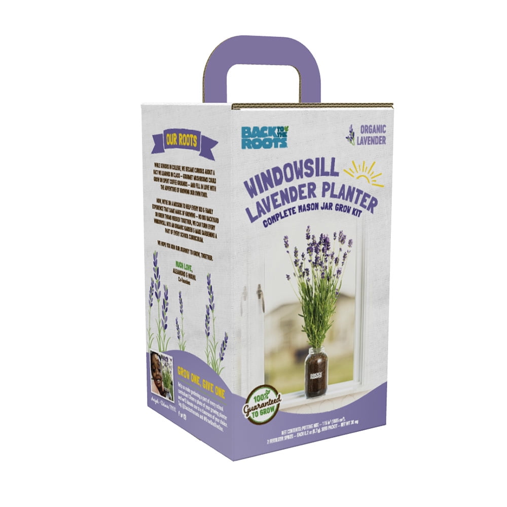 Back to the Roots Windowsill Lavender Planter, Complete Mason Jar Grow