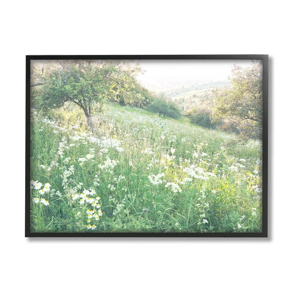 Spring Meadow Grassland Field Landscape Photograph Black Framed Art Print Wall Art