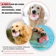 thumbnail image 4 of Buy 2 get 10% off Newdeport Indestructible Dog Chew Toys For Aggressive Chewers, Interactive Dog Toys For Medium/Large/Breed Dogs, Teeth Grinding And Cleaning Function, 4 of 5
