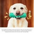 thumbnail image 5 of LL Goods Dog Toothbrush Chew Toy Durable, and Perfect for Aggressive Chewers., 5 of 6