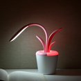 thumbnail image 3 of lámpara LED de escritorio con Clivia, lámpara de lectura para cabecera, luz de inalámbrica recargable Flexible, luz Colco Lámpara de escritorio de lectura, 3 of 8