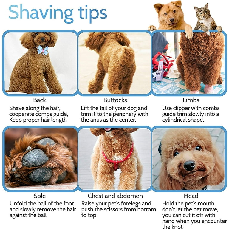 Clipper Blade Size For Labradoodle