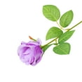 thumbnail image 2 of Tanuke 1Pc 16 Inch Artificial Silk Rose Realistic High Simulation Flower for Wedding Anniversary Elegant Home Decor Purple, 2 of 5