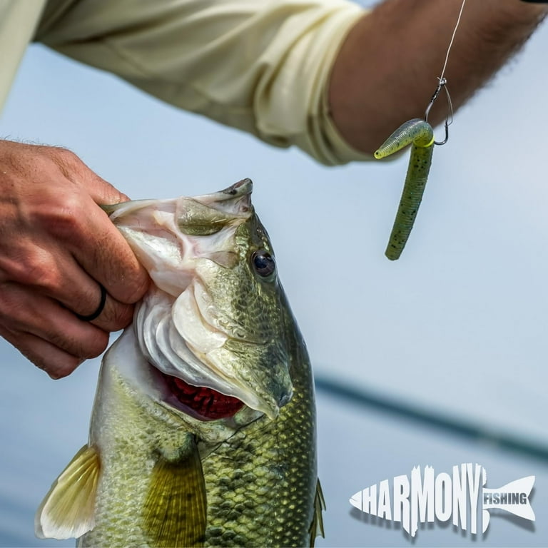 Largemouth Bass Best Color Senko Worm Bass Lures Senko Worm Bait