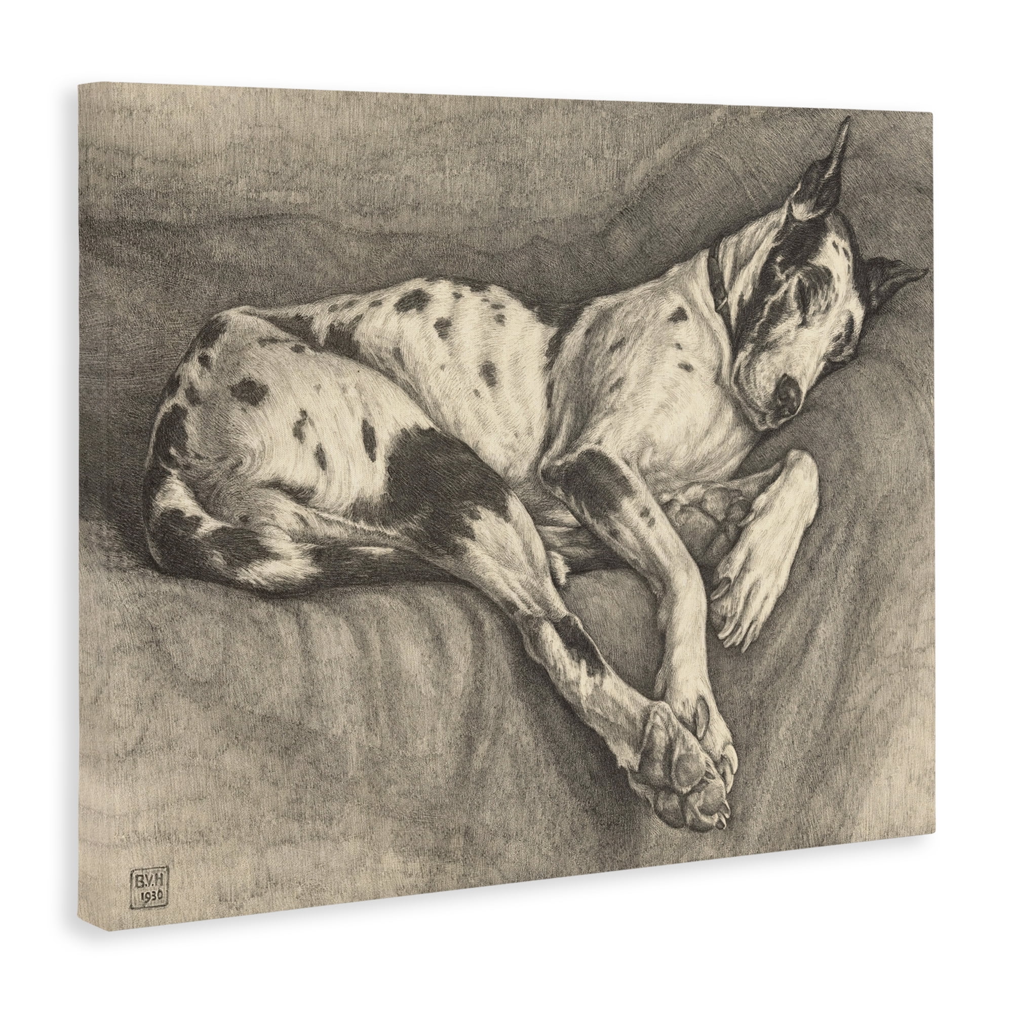 Stupell Industries Sleeping Hound Drawing Canvas Wall Art, design by Bertha Van Hasselt