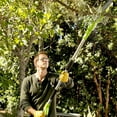 thumbnail image 6 of Greenworks 40V 8" Cordless Battery Powered Pole Saw with 2.0 Ah Battery & Charger 20672, 6 of 11