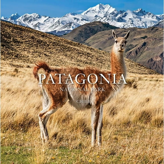 Patagonia National Park: Chile: Chile, (Paperback)