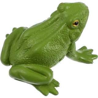 GTCWINCN Plastic Frogs ToyRealistic Frog Toy Decorations Mini Vinyl Frogs  Fun Rain Forest Character Toys Realistic Frog Figures Lifelike Plastic  Frogs