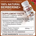thumbnail image 7 of ZHPHK Berberine 1200mg with Ceylon Cinnamon Supports Cardiovascular Health & Digestive Function 60 Capsules, 7 of 7