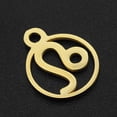 thumbnail image 2 of 201 Stainless Steel Charms Flat Round with Constellation Golden Leo 13.4x10.8x1mm Hole: 1.5mm DIY, 2 of 2