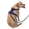 thumbnail image 2 of Vsdgher Steel Skull Pattern Dog Harness,No Pull Pet Harness with Soft Padded Handle,Adjustable Reflective Vest with 2 Buckles,4 Slide Buckles,S-XL Large, 2 of 5
