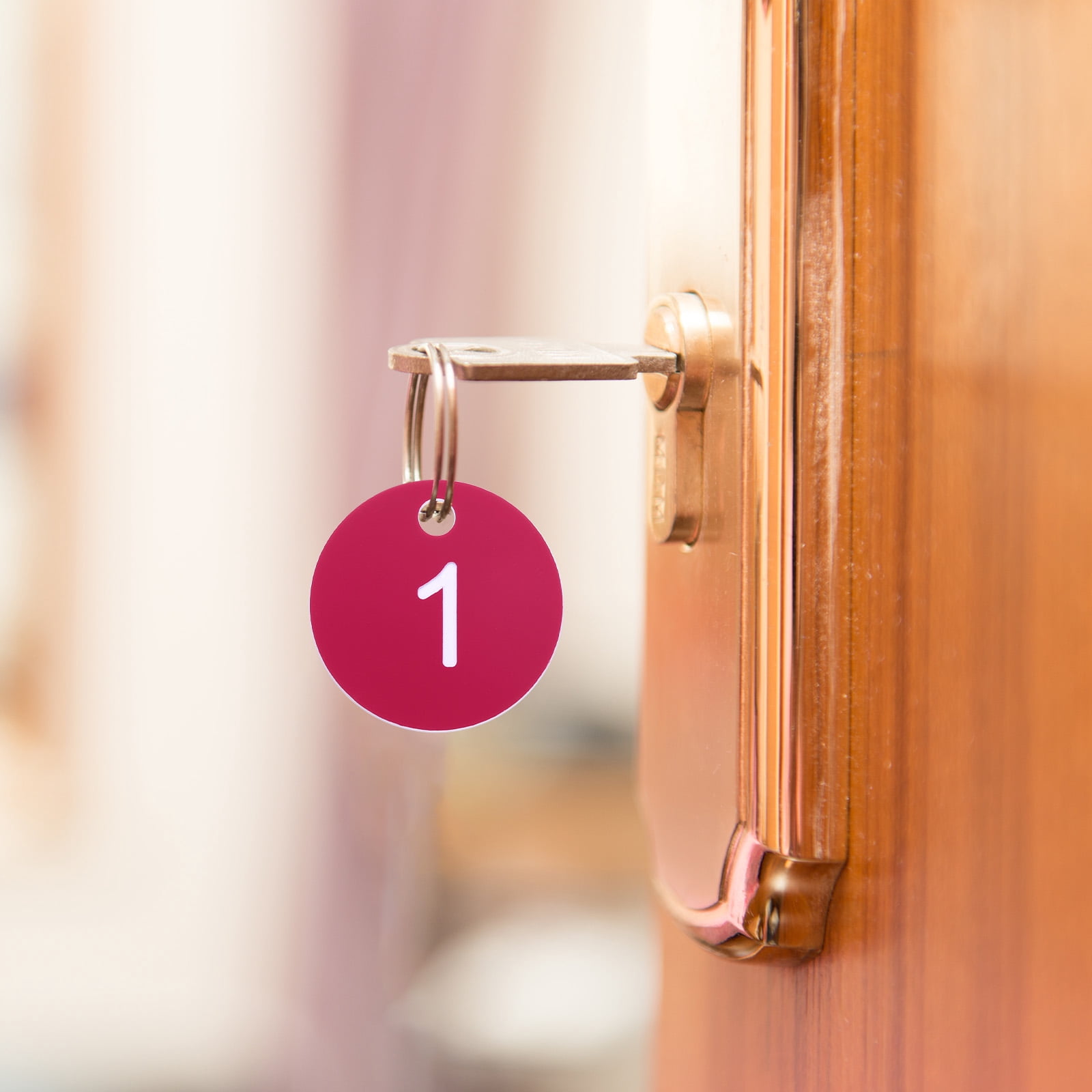 Unique Bargains 30Pcs Durable Round Number Key Tags Rose