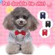 thumbnail image 1 of Jacenvly - Nuevos regalos para el Día del Padre, ropa para mascotas, traje para perro, nuevo producto, ropa para perro, camisa con doble pajarita, chaleco, camas para perros grandes, ahorros para el, 1 of 8