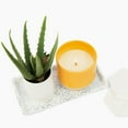 thumbnail image 2 of Better Homes & Gardens 16oz Warm Spring Sunshine Scented 2-Wick Stoneware Candle, 2 of 5